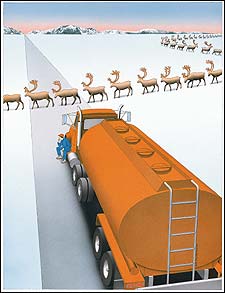 Crude Reality