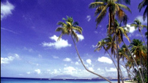 Nevis: Unhurried and unsung hero of the Caribbean.