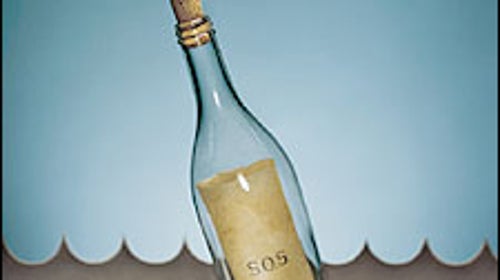 Wireless Communication in the Wilderness