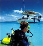 scuba diving, the maldives