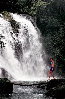 costa rica, whitewater rafting, upper savegre