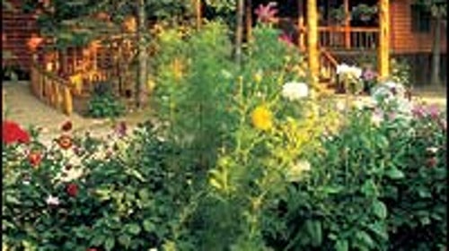 GET IT WHILE YOU CAN: the season's final flare at Ely, Minnesota's Burntside Lodge