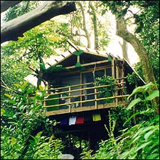 tree house