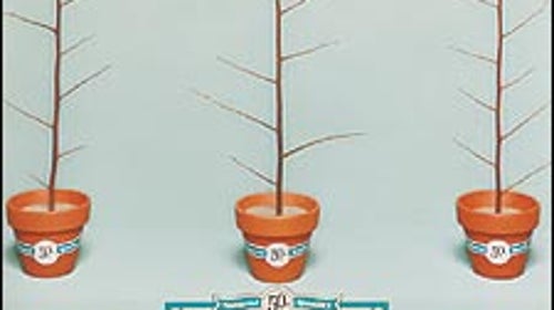 What's Wilderness Worth?