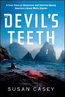 Devil's Teeth