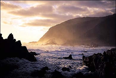 Wild at Heart: South Africa's rugged southeastern coast