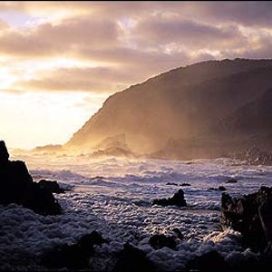 Wild at Heart: South Africa's rugged southeastern coast