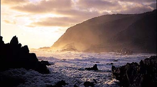 Wild at Heart: South Africa's rugged southeastern coast