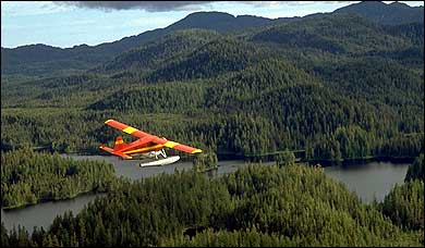 southeast alaska, misty fjords, glacier bay, grizzly