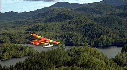 southeast alaska, misty fjords, glacier bay, grizzly