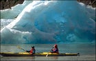 southeast alaska, misty fjords, glacier bay, grizzly