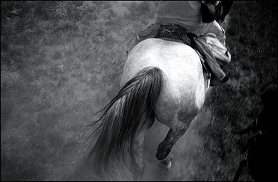 absaroka mountains, horseback riding