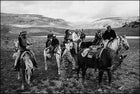 absaroka mountains, horseback riding