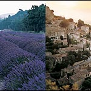 cycling south of france vineyards