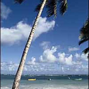 Adventure diversion: the tranquil beaches of the Dominican Republic