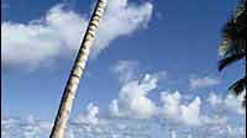 Adventure diversion: the tranquil beaches of the Dominican Republic