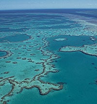 Fish or dive? Australia's Great Barrier Reef, open for business