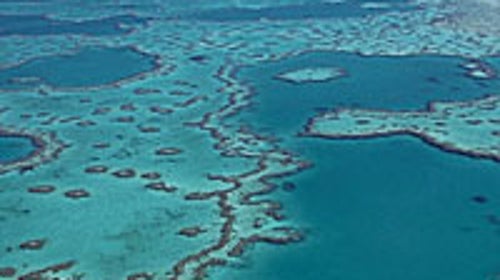 Fish or dive? Australia's Great Barrier Reef, open for business