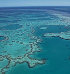 Fish or dive? Australia's Great Barrier Reef, open for business