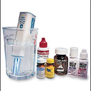 2004 Buyer's Guide: Bugs