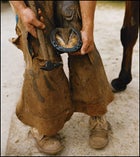 horseback queensland