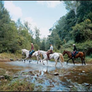 horseback queensland