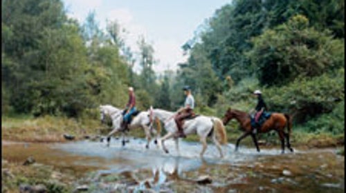horseback queensland