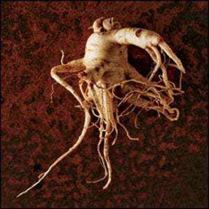 ginseng