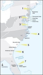 Dolphin 56 Migration