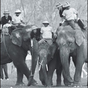 World Elephant Polo Championships