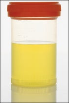 Drug Testing