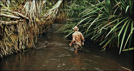 Gabon National Parks