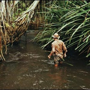 Gabon National Parks