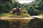 Gabon National Parks