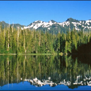 Traversing the Olympic Peninsula