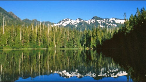 Traversing the Olympic Peninsula