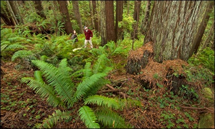 Mark Godfrey/The Nature Conservancy