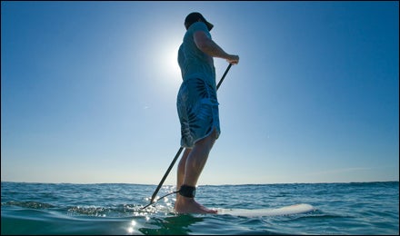 Stand Up Paddleboarding Around The Waterfront in Cape Town