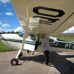 The Brazilian Amazon