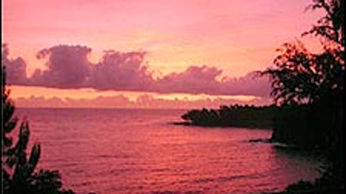 Palms Cliff House Inn