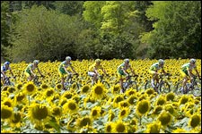 Popovych Takes Stage 12; Landis Still in Yellow
