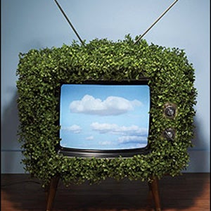 Greening of Hollywood