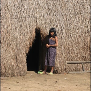 The Brazilian Amazon