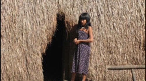 The Brazilian Amazon