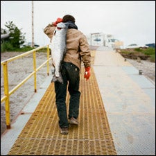 Bristol Bay