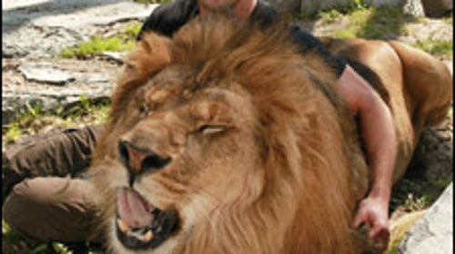Dave Salmoni with Leo the Lion