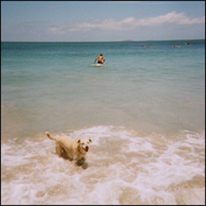 A skier's offseason.