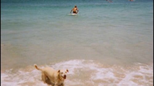 A skier's offseason.