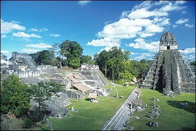 Crumble in the Junge: Tikal