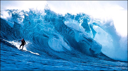 Ghost Tree Surf Break